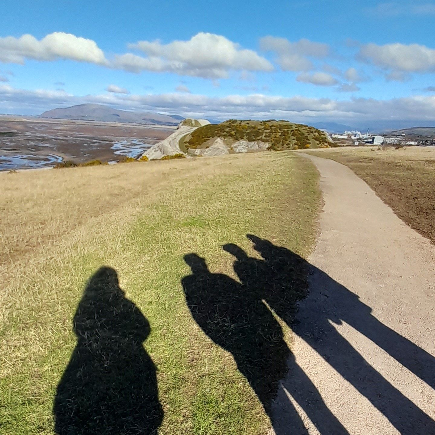 Photos of group shadows
